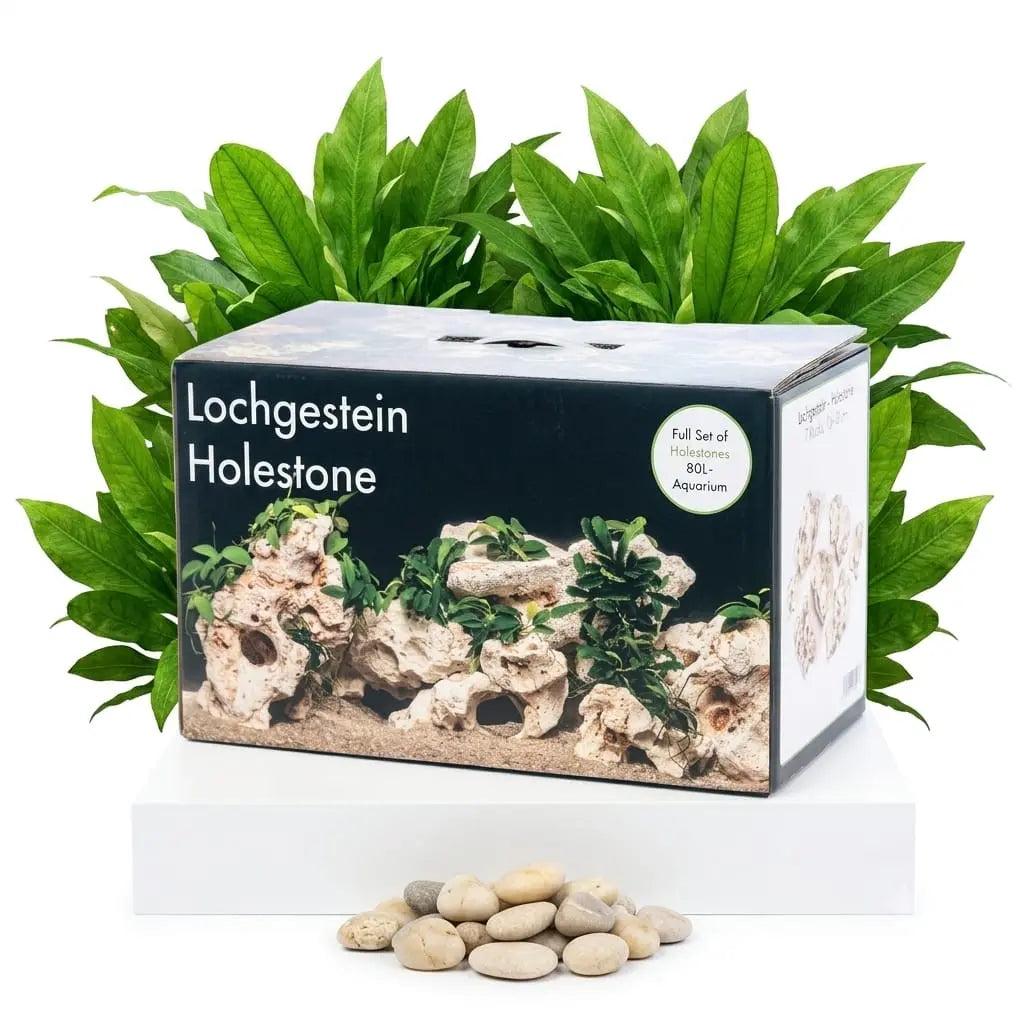 Deko-Set Lochgestein Aquarium (für 60- und 80-L-Aquarium) - AS+ AquaTimo