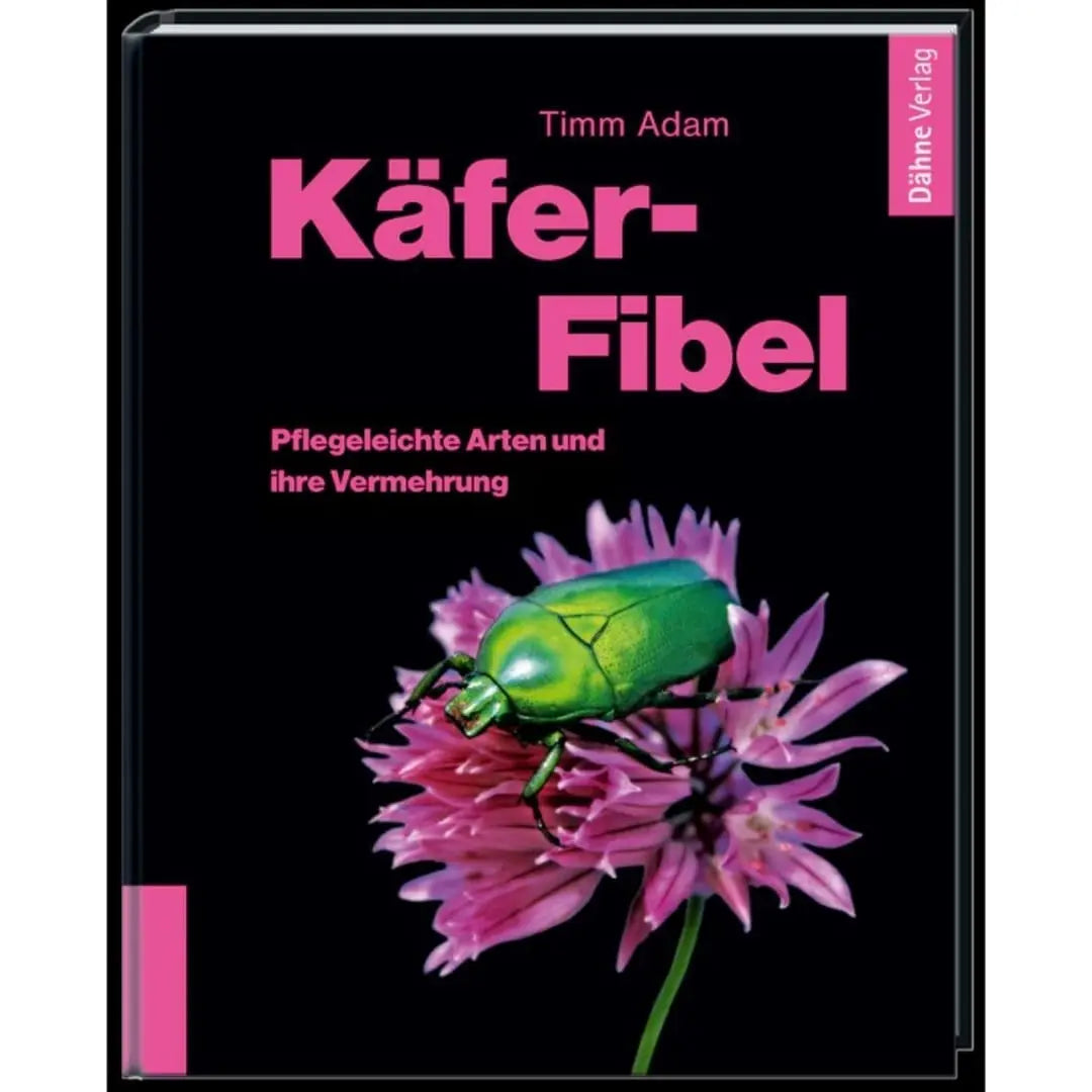 Käfer Fibel Dähne Aquaristik