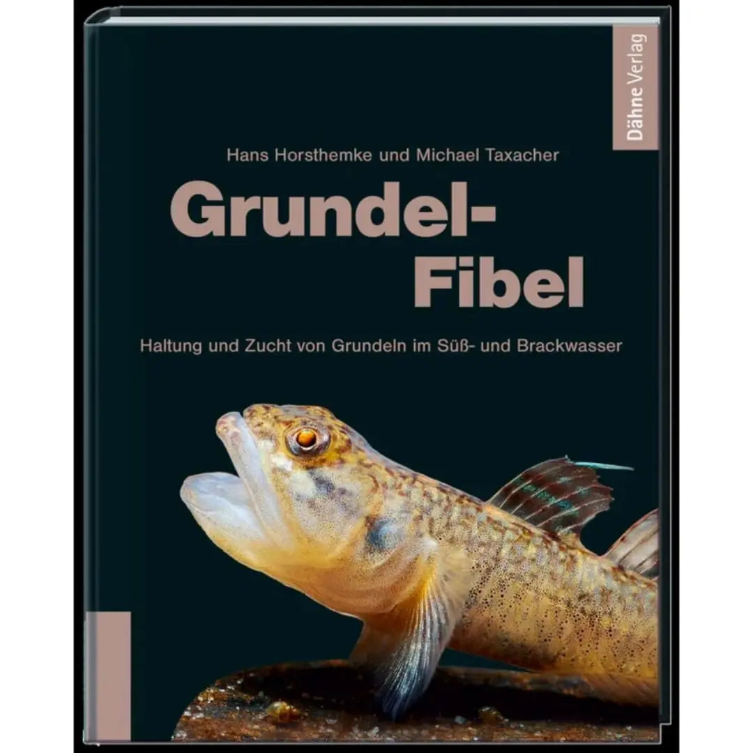 Grundel-Fibel Dähne Aquaristik