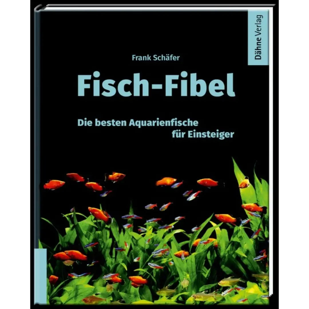 Aquarienfische für Einsteiger Dähne Aquaristik