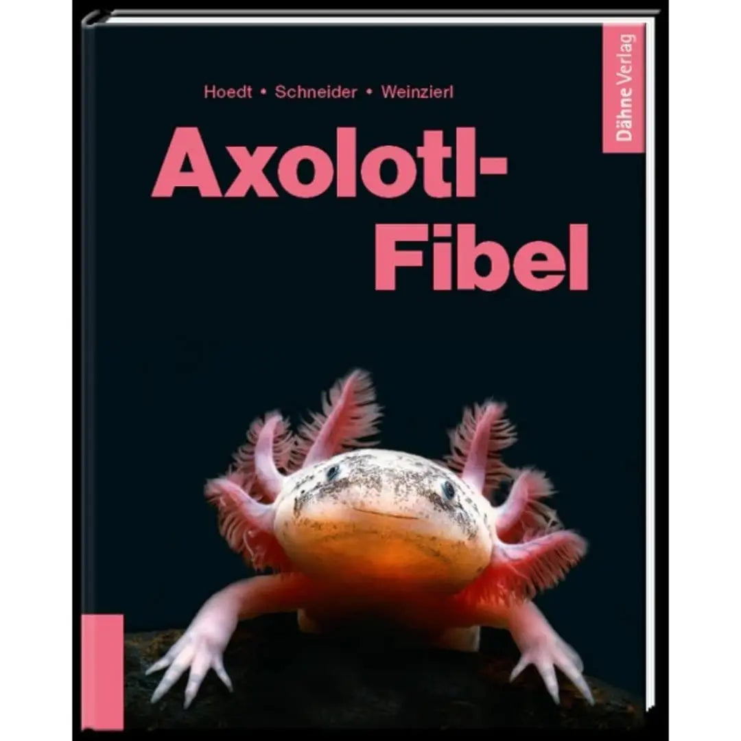 Axolotl Fibel kaufen Dähne Aquaristik