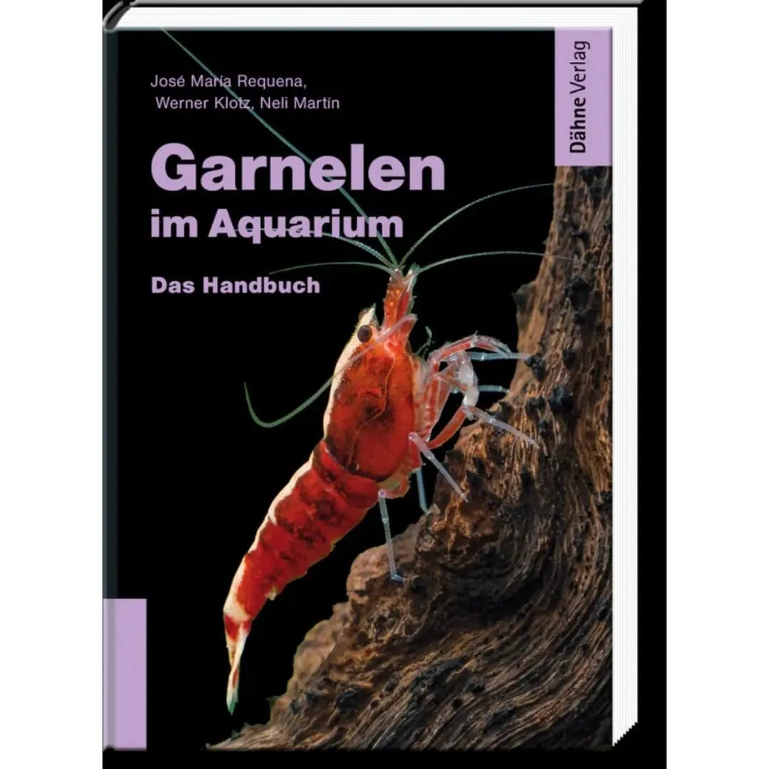 Garnelen im Aquarium Dähne Aquaristik