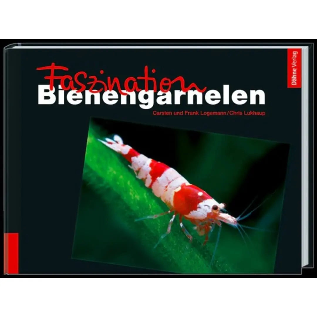 Faszination Bienengarnelen Buch Dähne Aquaristik