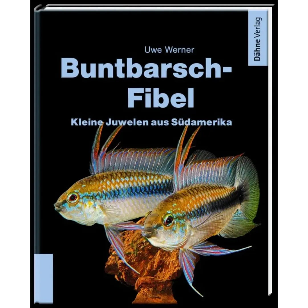 Buntbarsch Fibel Südamerika Dähne Aquaristik