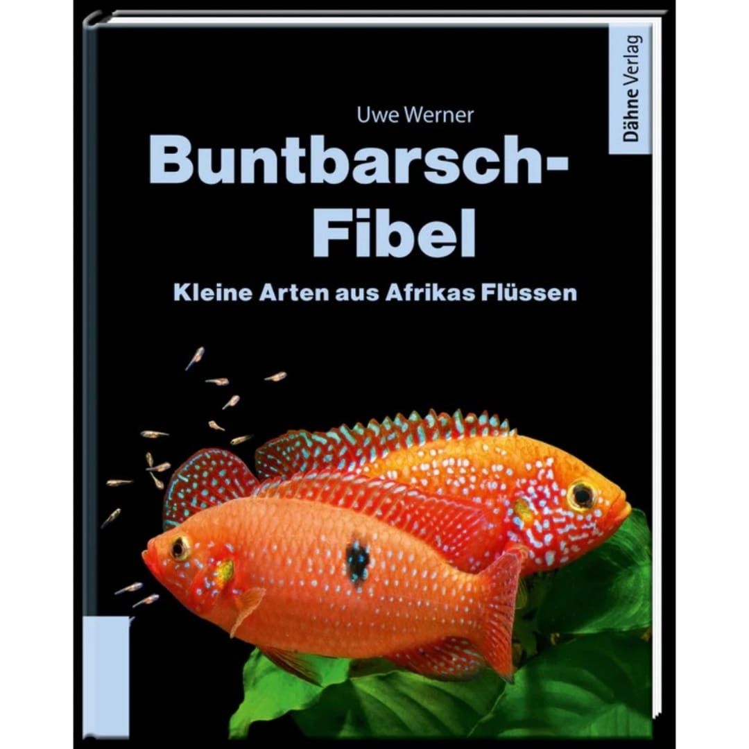 Buntbarsch Fibel Afrika