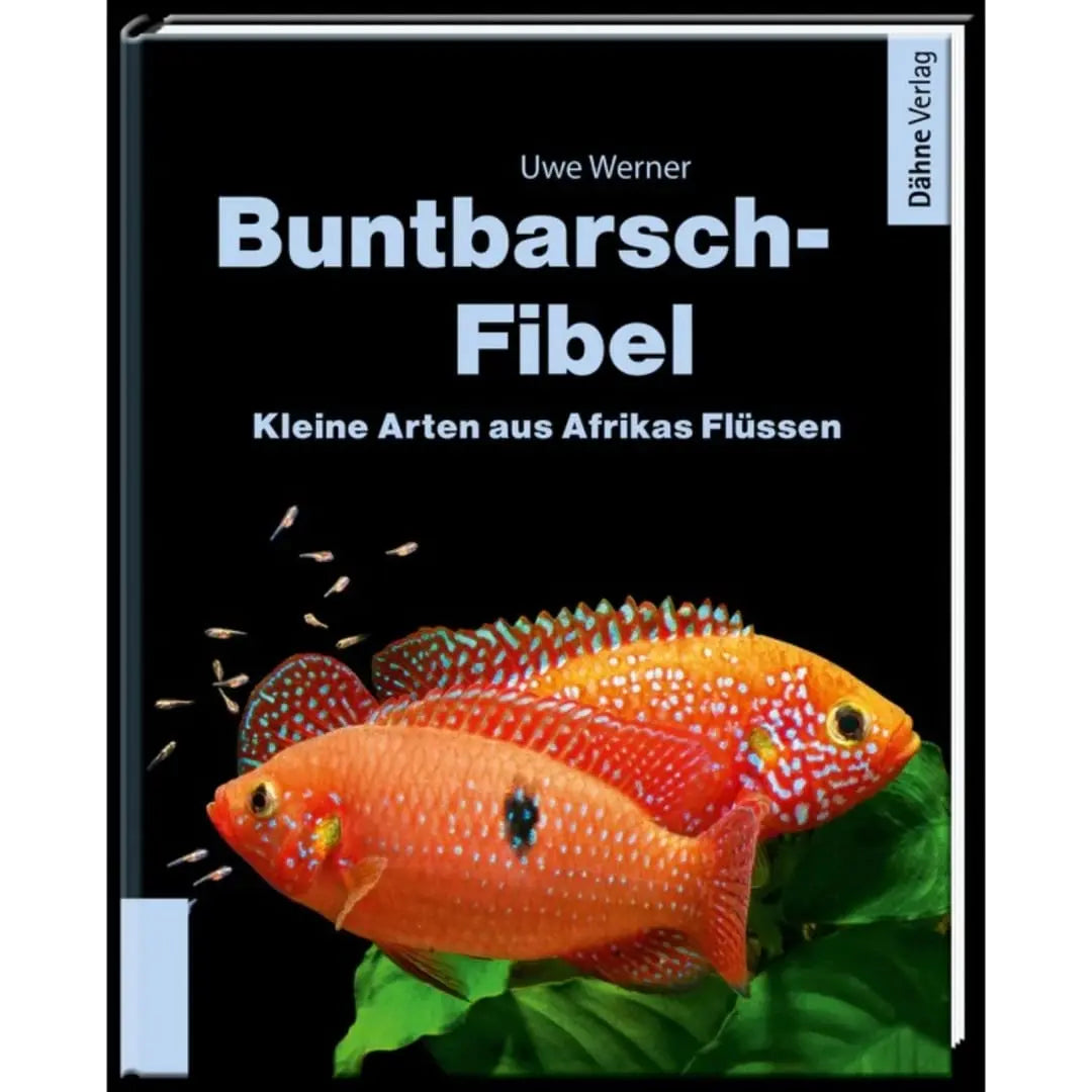 Buntbarsch Fibel Afrika Dähne Aquaristik