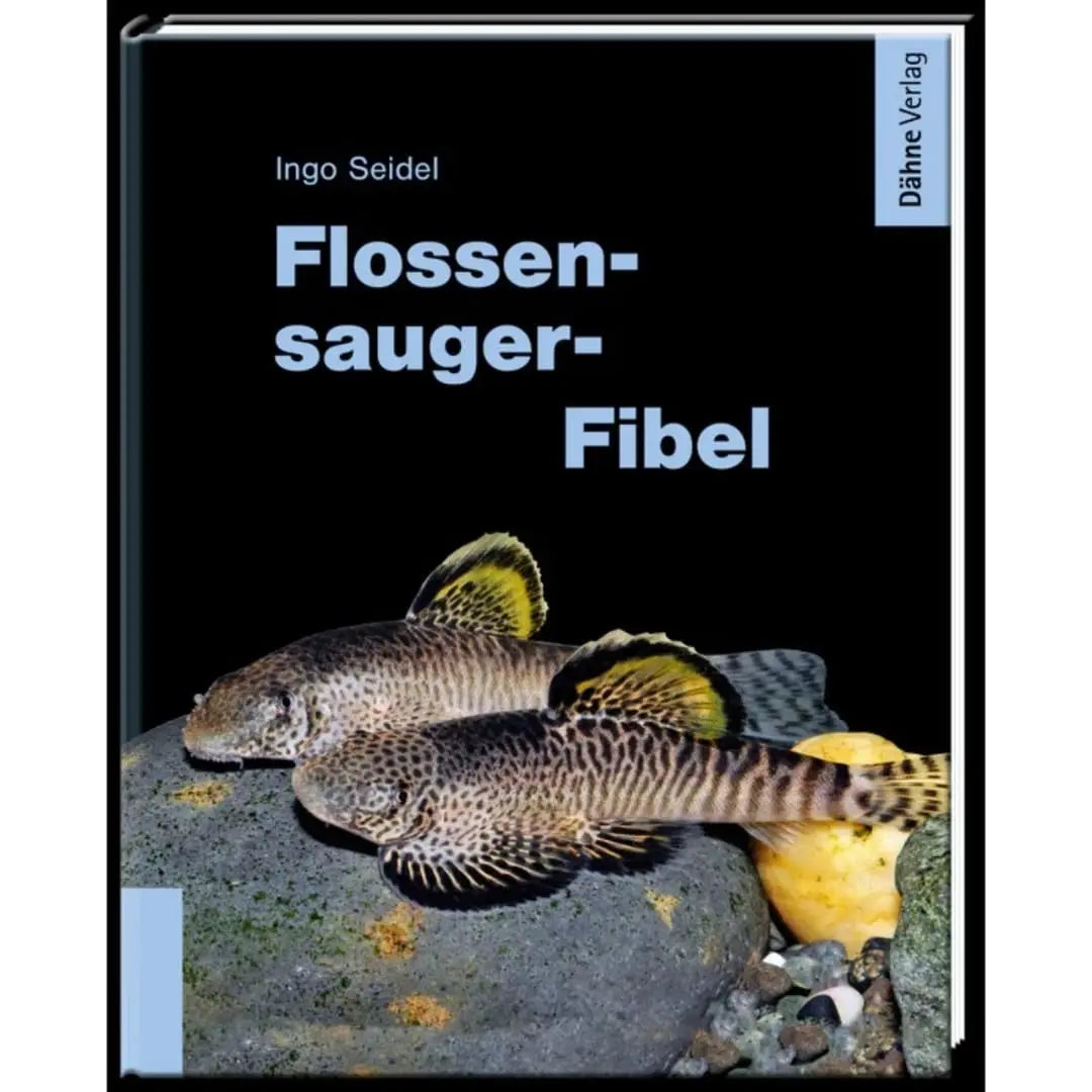 Flossensauger Fibel Dähne Aquaristik