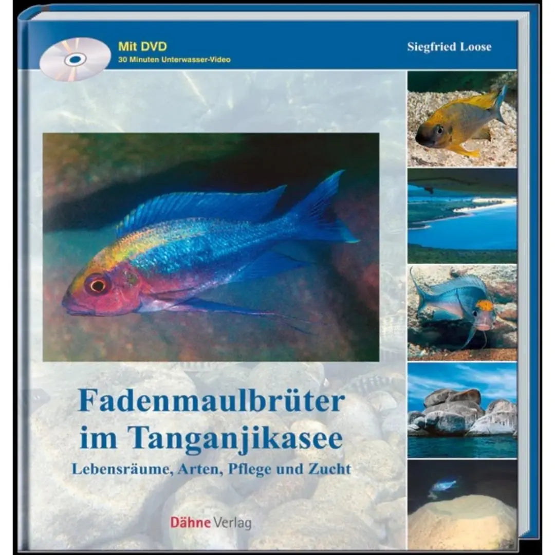 Fadenmaulbrüter im Tanganjikasee Buch Dähne Aquaristik