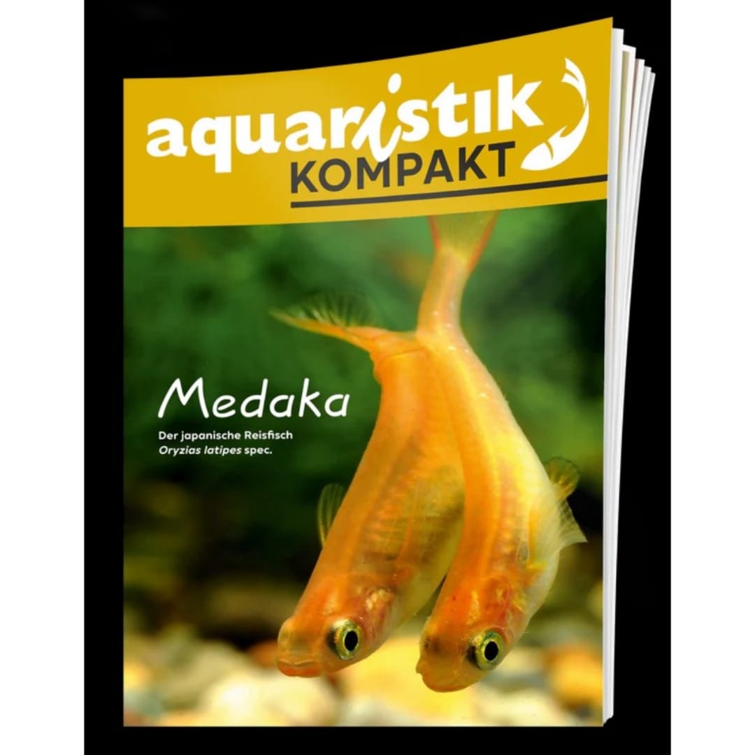 Aquaristik Kompakt – Medaka Buch