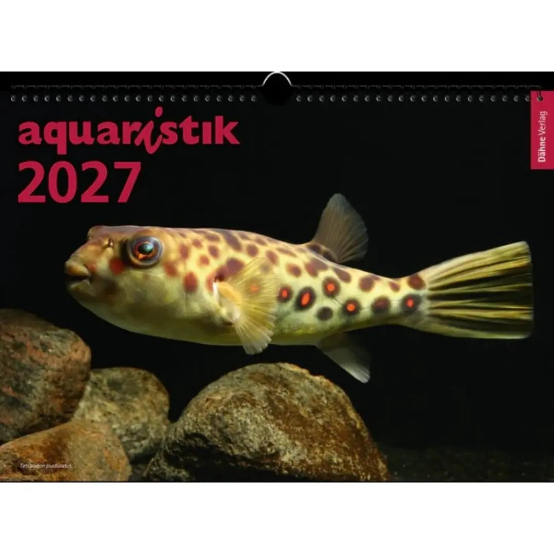 Aquaristik-Kalender 2027 Dähne Aquaristik