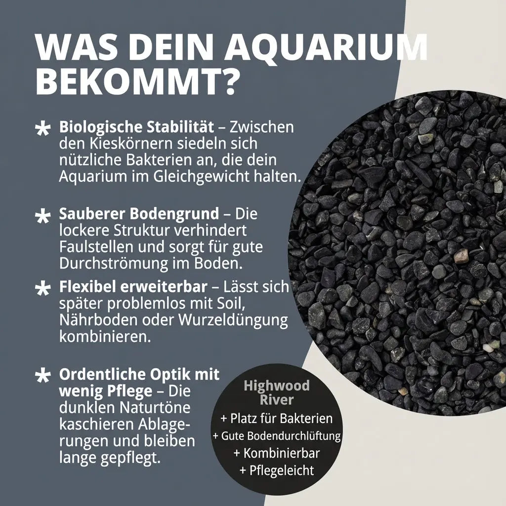 NatureHolic Naturkies Dark River – Dein Geheimnis für kontrastreiche Aquascapes AquaTimo