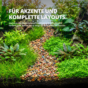 NatureHolic Naturkies Rainbow River – Ein Farbrausch für dein Aquarium AquaTimo