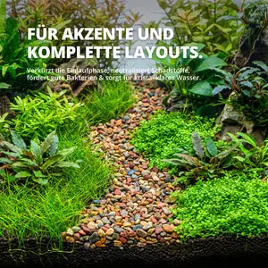 NatureHolic Naturkies Rainbow River – Ein Farbrausch für dein Aquarium AquaTimo
