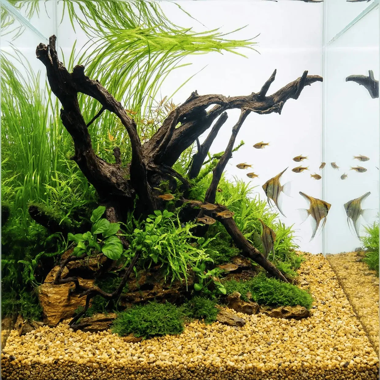 NatureHolic Naturkies Yellowstone River – Warme Fluss-Optik für dein Aquarium AquaTimo