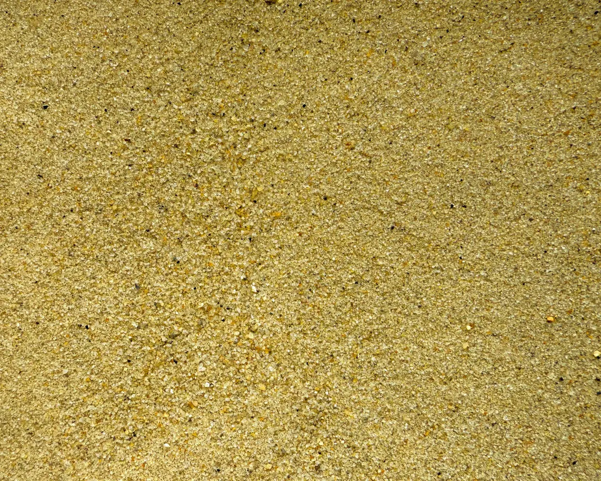 NatureHolic Eli Creek – Extra feiner Natursand für dein perfektes Layout AquaTimo