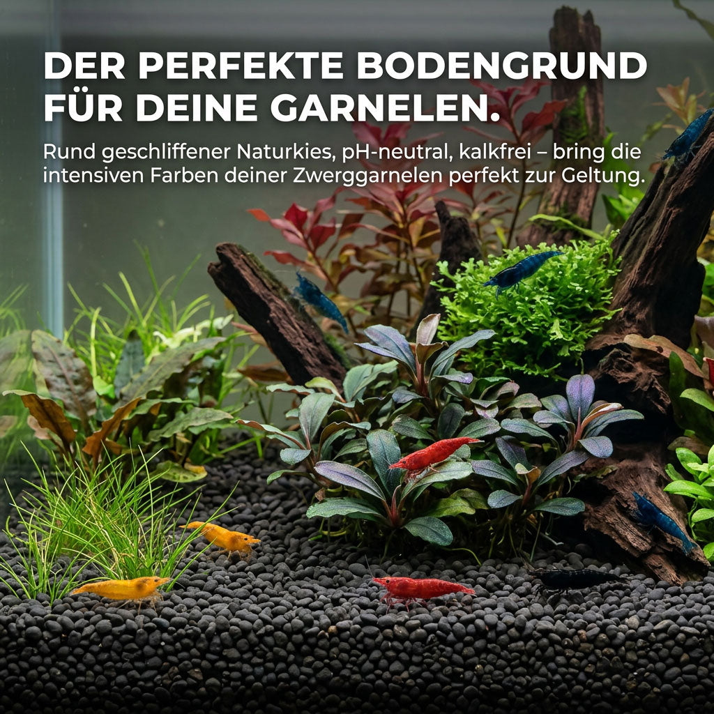 NatureHolic Garnelen Kies – Natürlicher, schwarzer Bodengrund für deine Zwerggarnelen AquaTimo