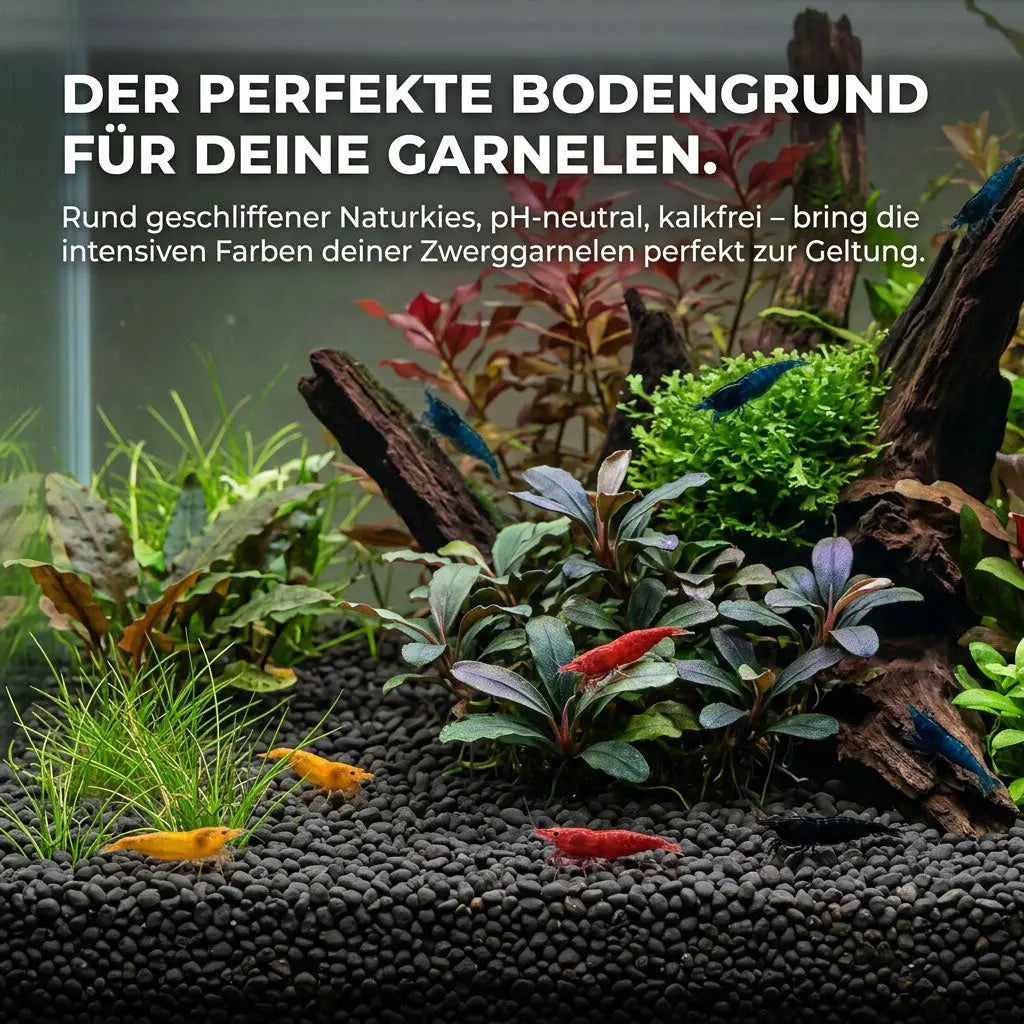 NatureHolic Garnelen Kies – Natürlicher, schwarzer Bodengrund für deine Zwerggarnelen AquaTimo