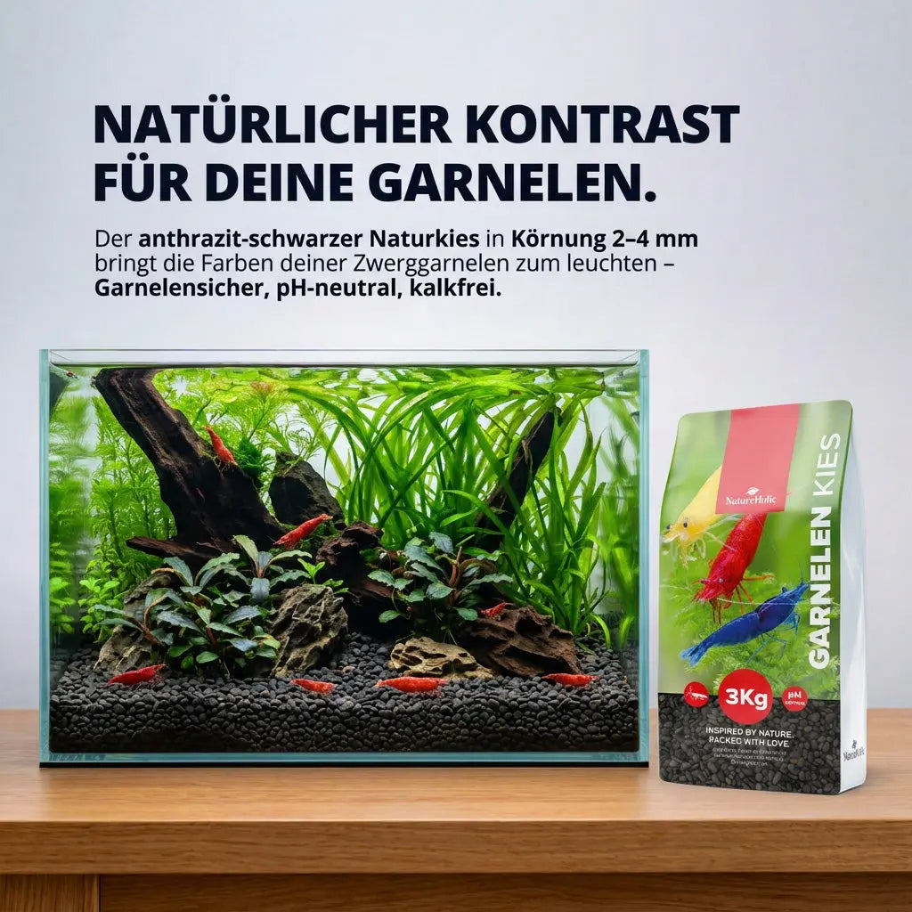 NatureHolic Garnelen Kies – Natürlicher, schwarzer Bodengrund für deine Zwerggarnelen AquaTimo