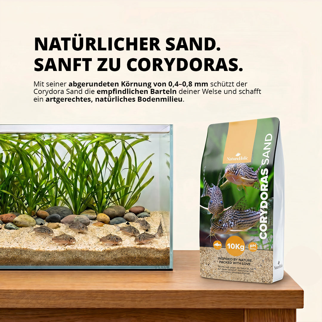 NatureHolic Corydoras Sand – Der ideale Bodengrund für deine Panzerwelse AquaTimo
