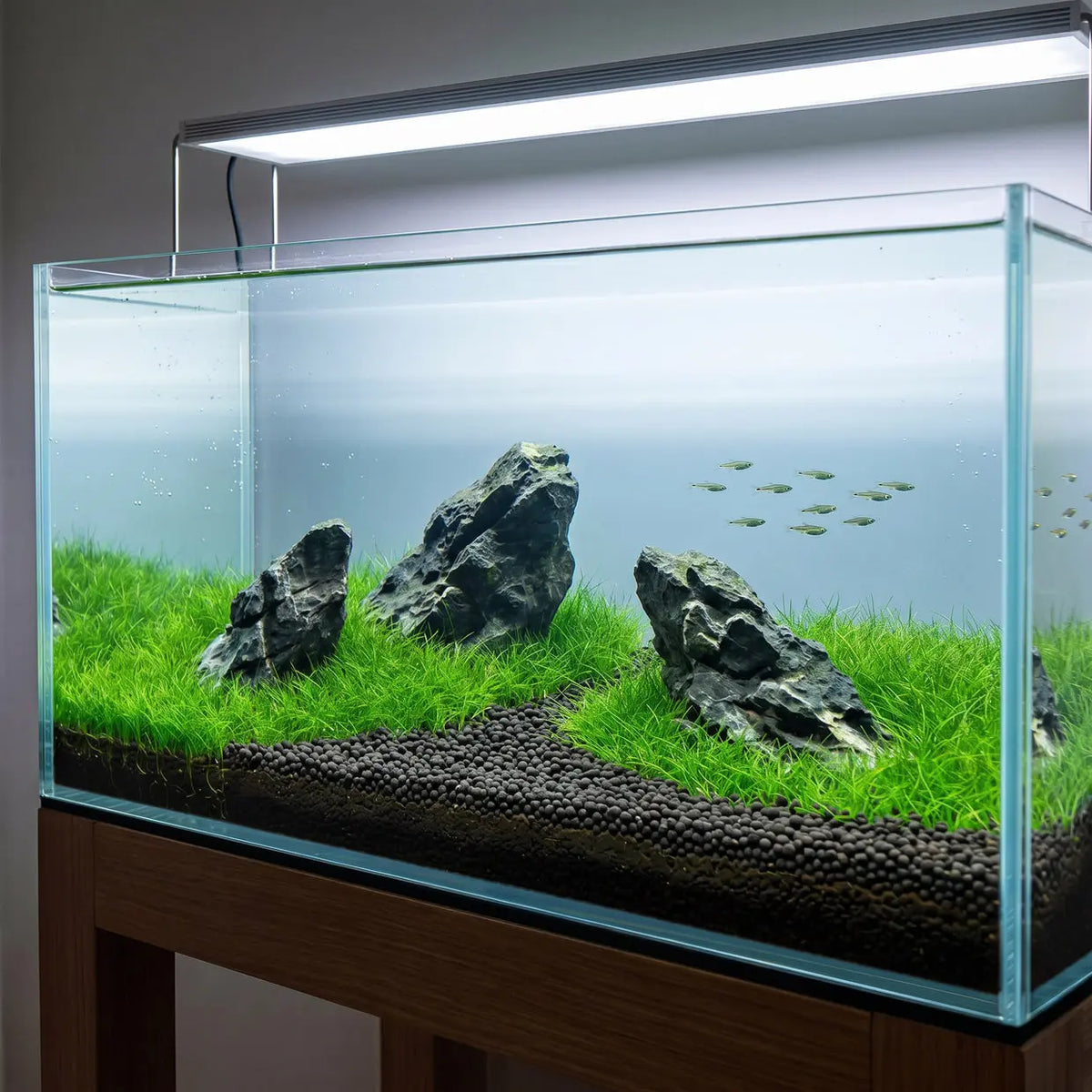 NatureHolic Plant Soil – Das Fundament für dein Dschungel-Aquarium AquaTimo