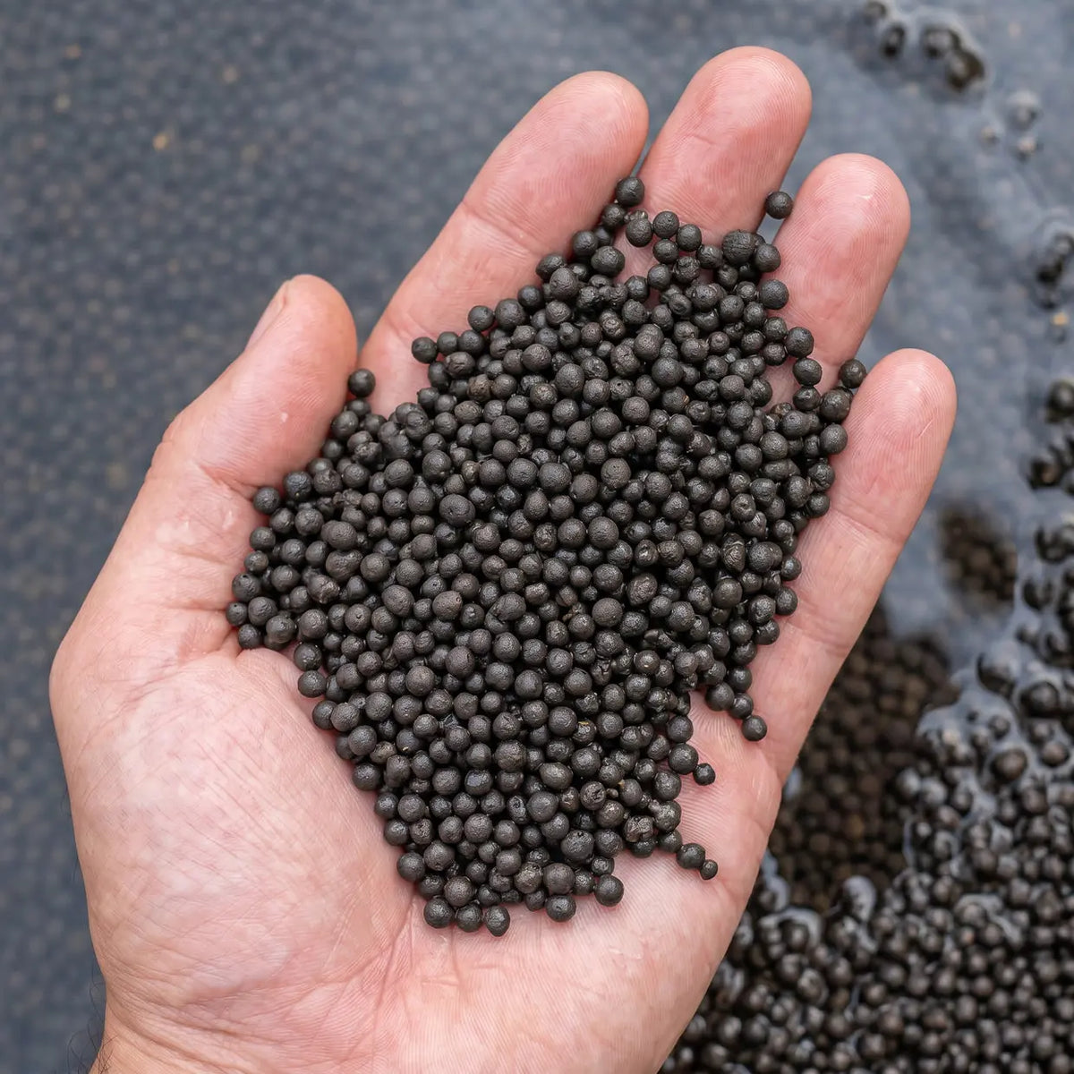 NatureHolic Plant Soil – Das Fundament für dein Dschungel-Aquarium AquaTimo
