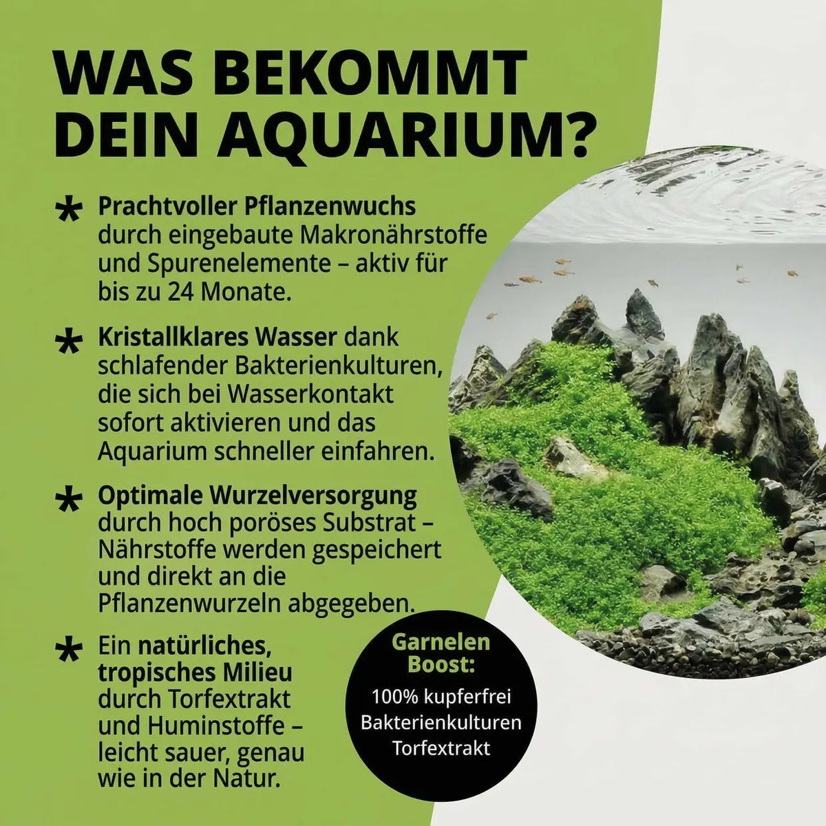 NatureHolic Plant Soil – Das Fundament für dein Dschungel-Aquarium (Kopie) AquaTimo