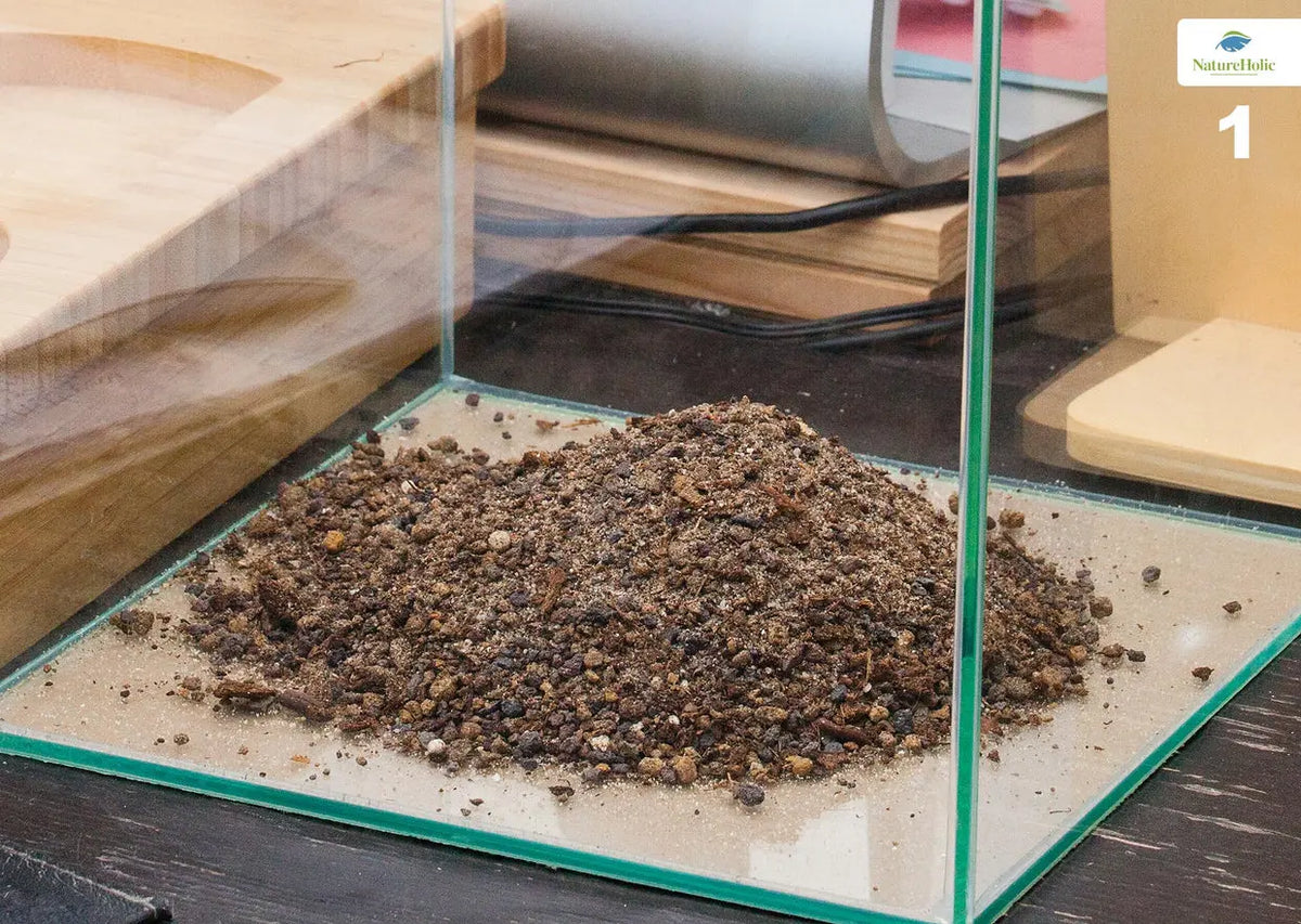 NatureHolic Plant Soil – Das Fundament für dein Dschungel-Aquarium (Kopie) AquaTimo