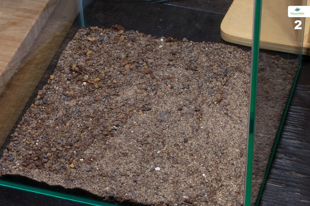 NatureHolic Plant Soil – Das Fundament für dein Dschungel-Aquarium (Kopie) AquaTimo