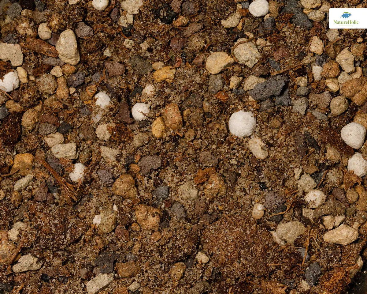 NatureHolic Plant Soil – Das Fundament für dein Dschungel-Aquarium (Kopie) AquaTimo