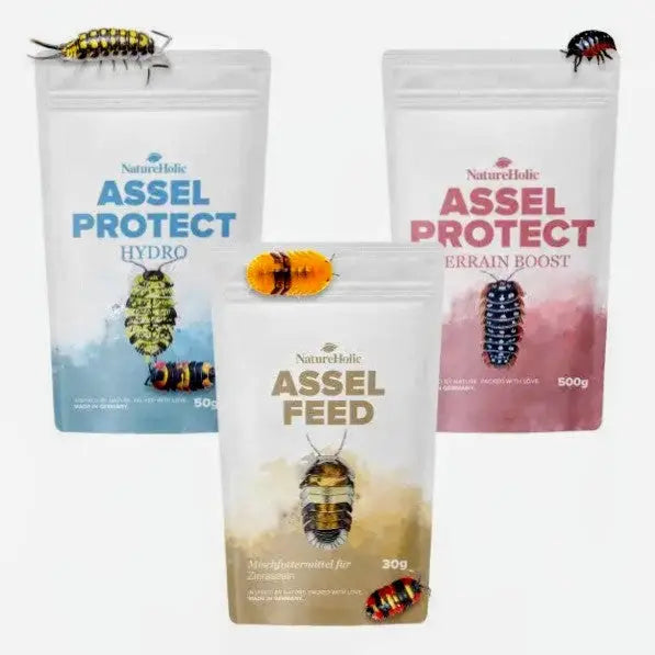 NatureHolic Assel 'Sorglos' Paket – Asselfeed, HydroProtect & TerrainBoost für Asseln im Terrarium AquaTimo