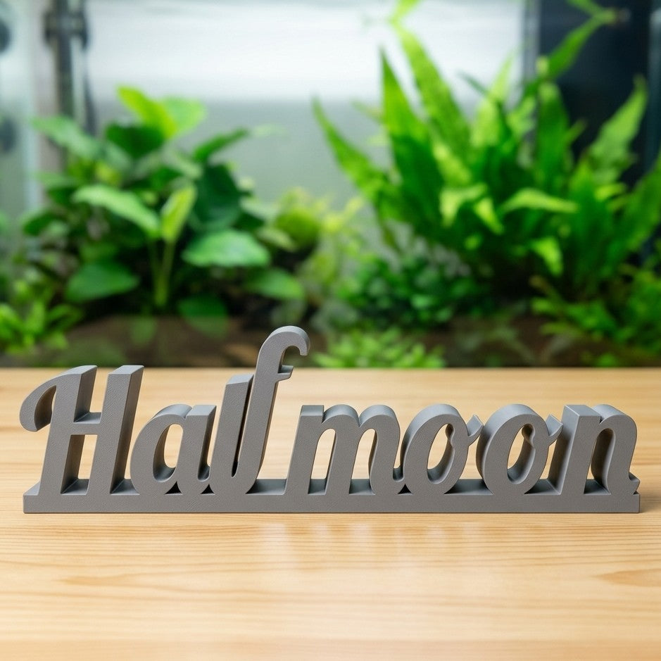 HALFMOON Deko Schriftzug - DS+