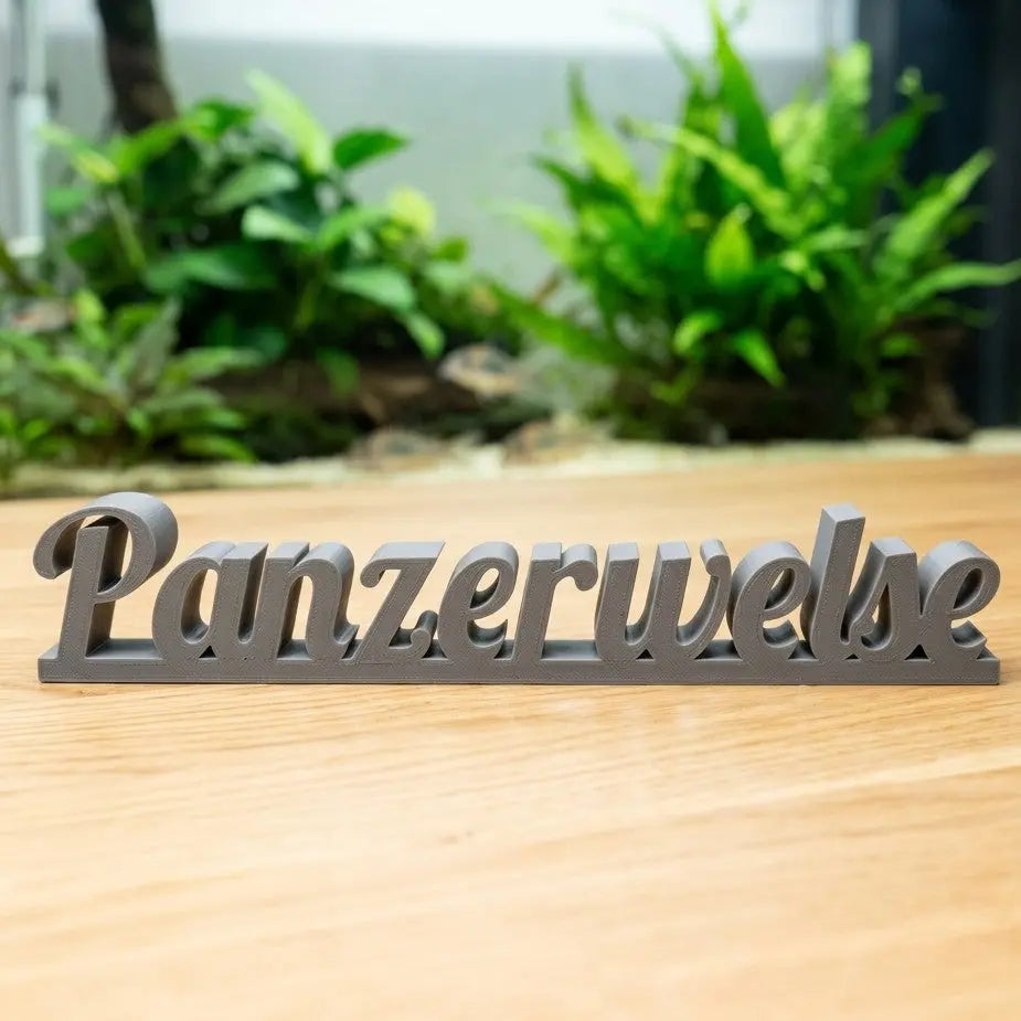 Exklusiver Panzerwelse Dekoschriftzug - DS+ AquaTimo