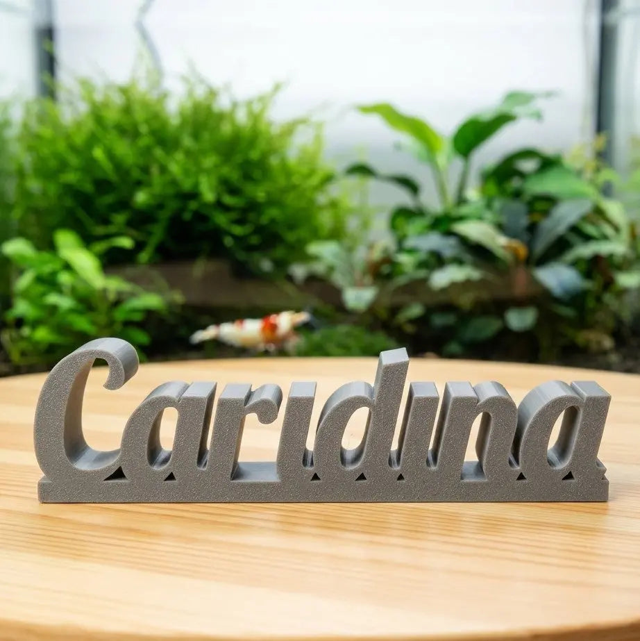 Exklusiver Caridina Dekoschriftzug - DS+ AquaTimo