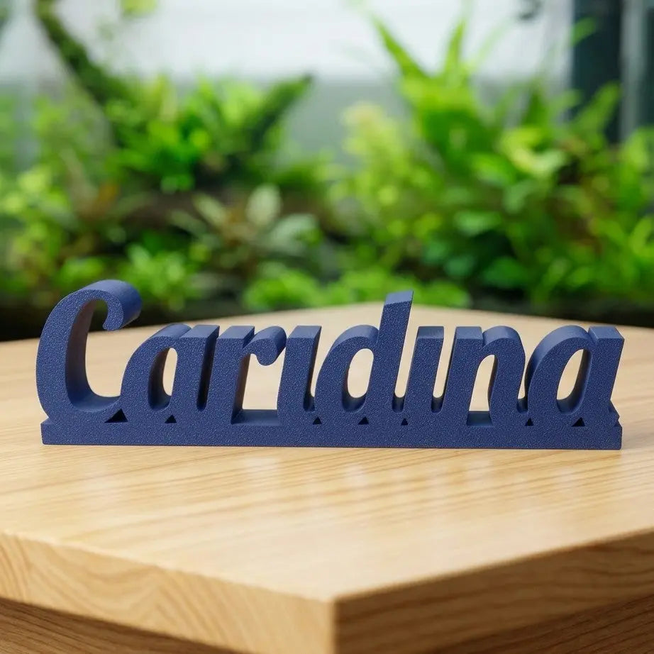 Exklusiver Caridina Dekoschriftzug - DS+ AquaTimo