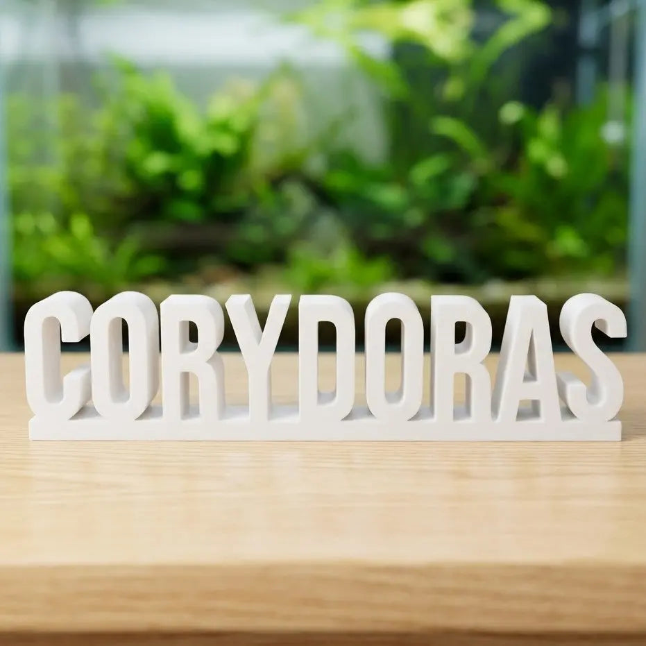 Exklusiver "Corydoras" Schriftzug Deko (ca. 15 cm) | Das Must-Have für Panzerwels-Fans! - DS+ AquaTimo