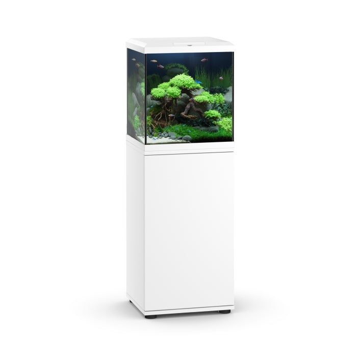 Vio Cube 54 SBX Aquarium inkl. Unterschrank - AS+ AquaTimo