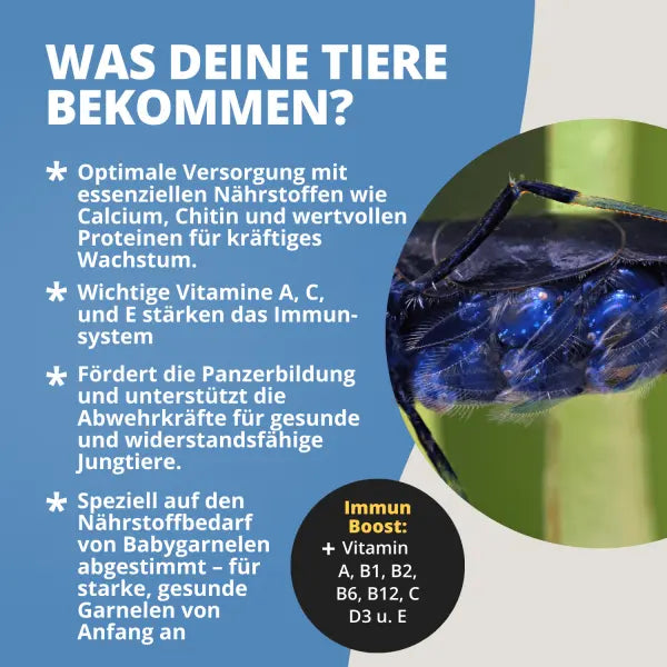 NatureHolic Babyfeed: Das mikrofeine Aufzuchtfutter – Krill-Power und Mineral-Boost für gesunde Babygarnelen! 🦐🚀 AquaTimo