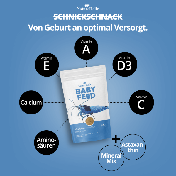 NatureHolic Babyfeed: Das mikrofeine Aufzuchtfutter – Krill-Power und Mineral-Boost für gesunde Babygarnelen! 🦐🚀