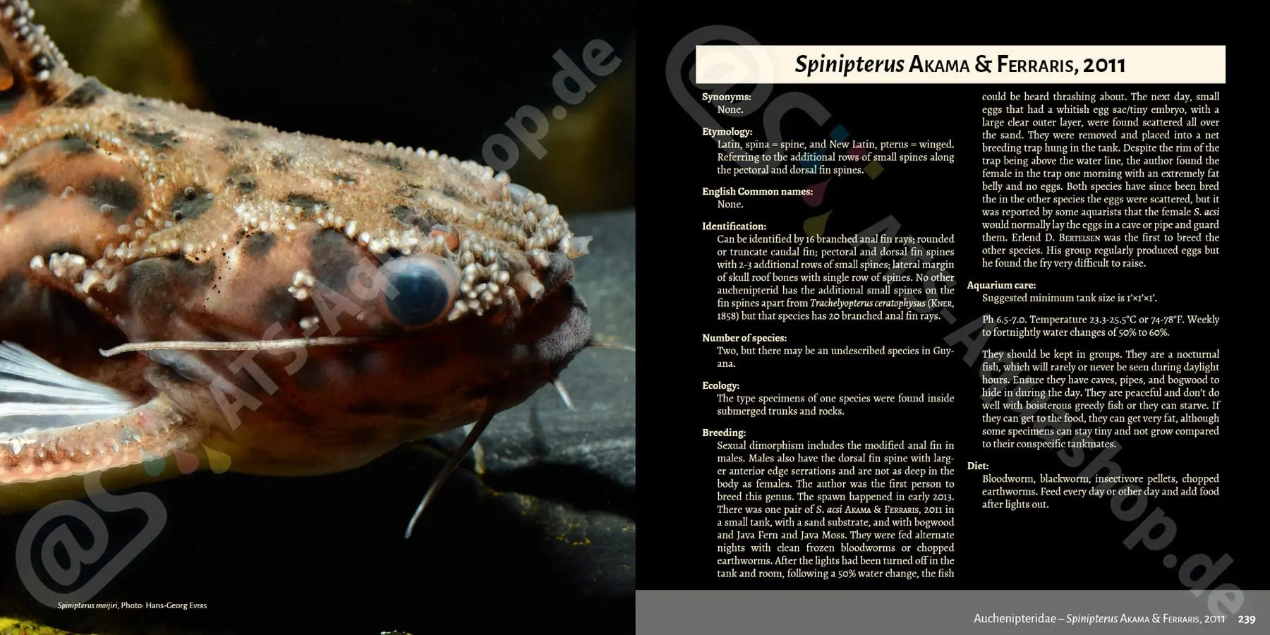 Buch Welsarten Dähne Aquaristik