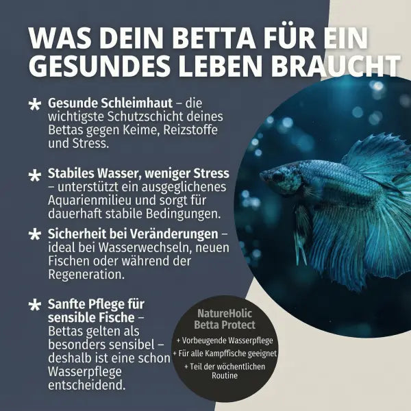 NatureHolic Betta Skin Protect: Der 4-fach-Schutz für deinen Betta AquaTimo