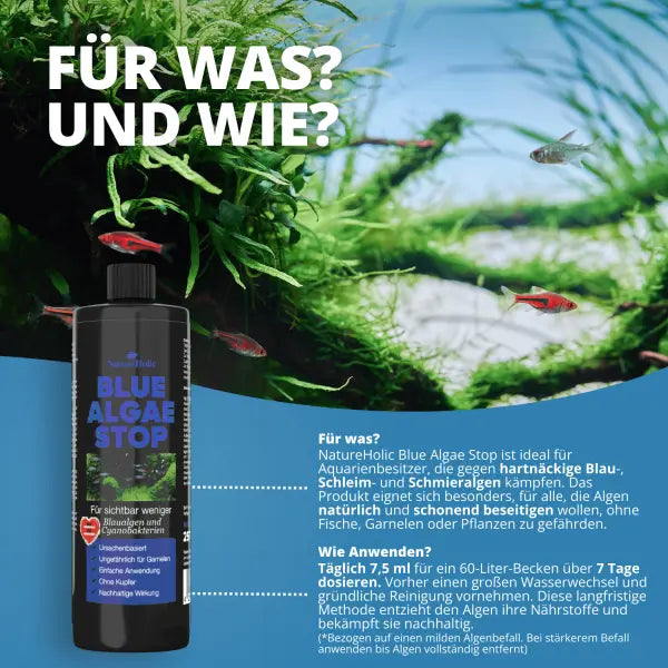 NatureHolic Blue Algae Stop: Schluss mit Blaualgen in deinem Aquarium AquaTimo