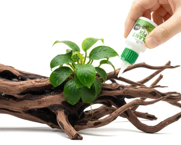 NatureHolic Pflanzenkleber: Die unsichtbare Lösung für dein Aquascaping – Moose und Aufsitzerpflanzen einfach kleben! 💧🌿 AquaTimo