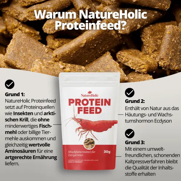 NatureHolic Proteinfeed: Die Spezial-Proteinnahrung für Wachstum, Zucht und starke Panzer! 💪🦐 AquaTimo