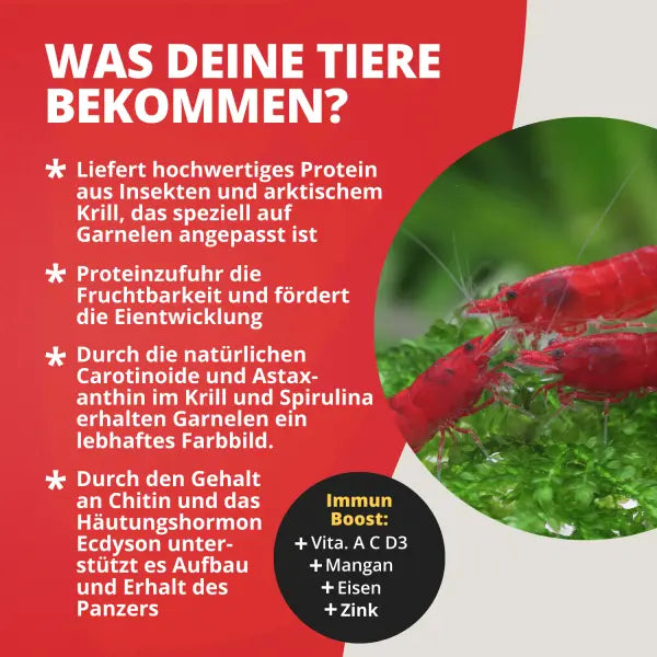 NatureHolic Proteinfeed: Die Spezial-Proteinnahrung für Wachstum, Zucht und starke Panzer! 💪🦐 AquaTimo