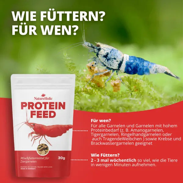 NatureHolic Proteinfeed: Die Spezial-Proteinnahrung für Wachstum, Zucht und starke Panzer! 💪🦐 AquaTimo