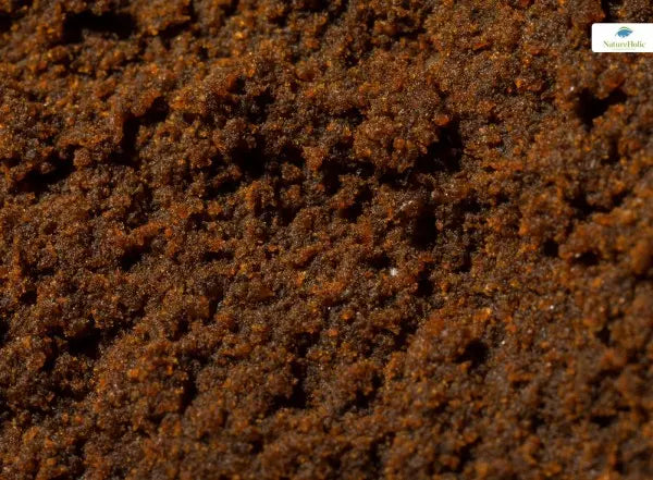 NNatureHolic Protein Pudding: Der Eiweiß-Snack für gesunde Garnelen, Krebse und Schnecken 🍮🍤 AquaTimo
