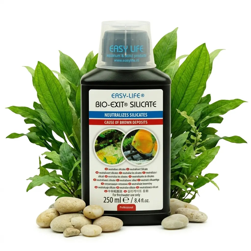 Easy-Life Bio-Exit Silicate – Schluss mit braunen Kieselalgenbelägen - AS+ AquaTimo