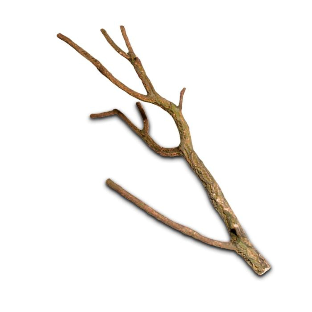 Korktronchos L (75-100 cm) - AS+