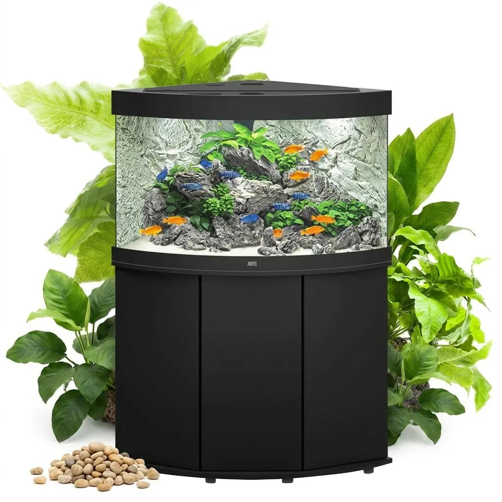 Juwel Trigon 350 LED Aquarium – Das Premium Eckaquarium für maximale Tiefenwirkung 💎 - AS+ AquaTimo
