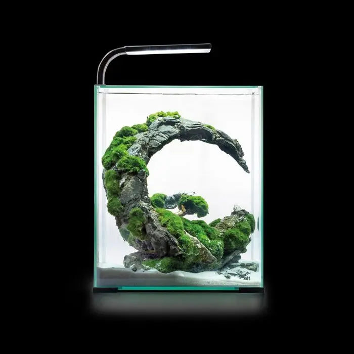 AQUAEL Shrimp Set Day & Night 20 Weiß – Das Ultimative Nano-Aquarium Komplett-Set für Garnelen & Aquascaping!🦐✨ - AS+ AquaTimo